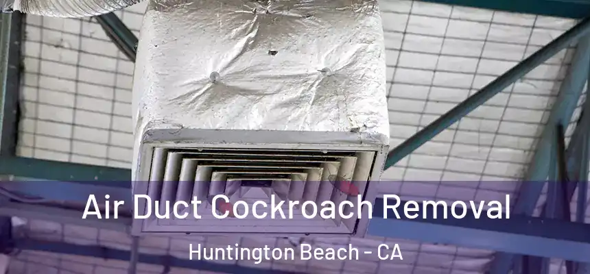  Air Duct Cockroach Removal Huntington Beach - CA