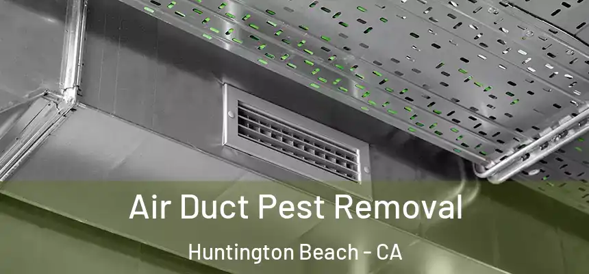  Air Duct Pest Removal Huntington Beach - CA