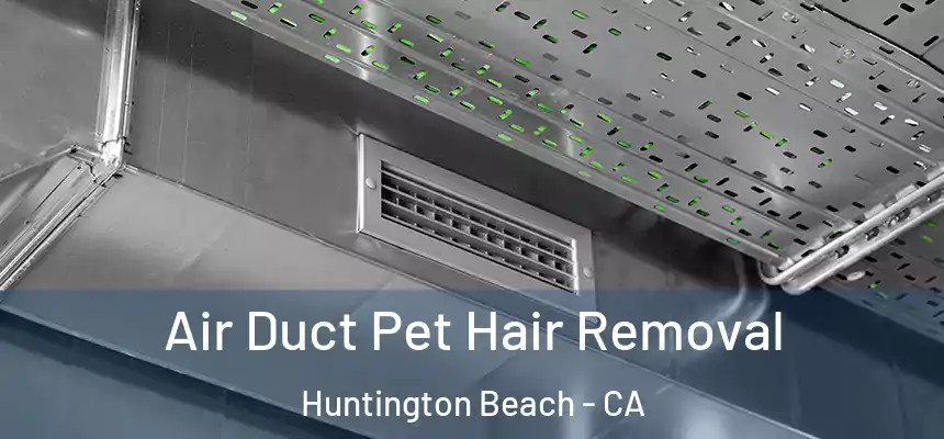 Air Duct Pet Hair Removal Huntington Beach - CA
