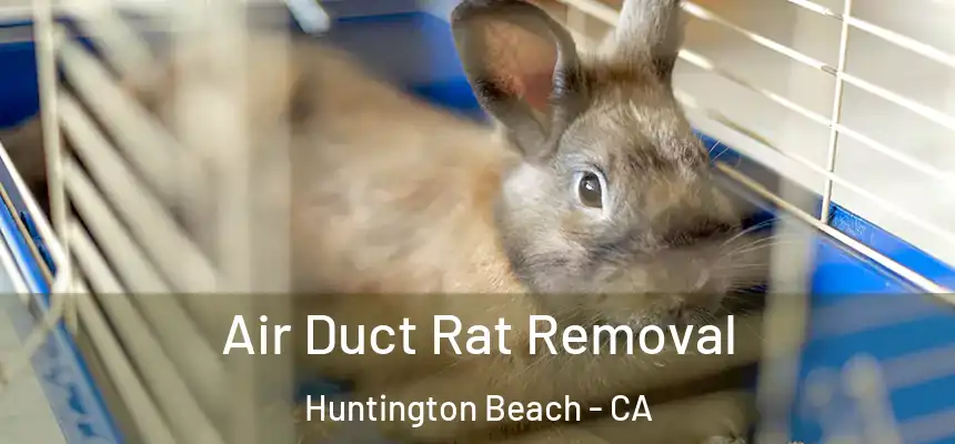 Air Duct Rat Removal Huntington Beach - CA