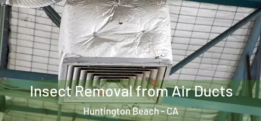 Insect Removal from Air Ducts Huntington Beach - CA