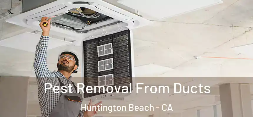 Pest Removal From Ducts Huntington Beach - CA