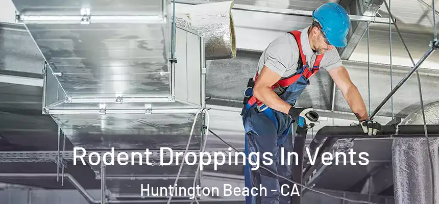 Rodent Droppings In Vents Huntington Beach - CA
