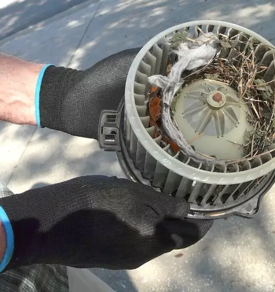 About Air Duct Mice Removal in Huntington Beach, CA