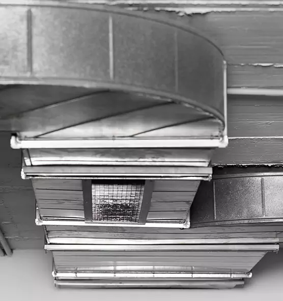 Professional Air Duct Pest Removal in Huntington Beach, CA