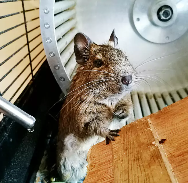 Why Homeowners & Businesses Trust Us Huntington Beach, CA