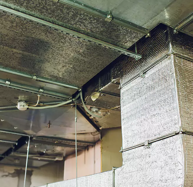 Why Homeowners & Businesses Trust Us in Huntington Beach, CA?